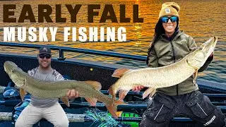 Fall Musky Fishing &mdash; Chasing Muskies on Lake Minnetonka 