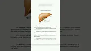 Gallbladder notes | Gallbladder physiology | functions of Gallbladder | common bile duct