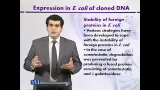 Stability of Foreign Proteins in E. coli | Introduction to Biotechnology | BIO5101_Topic104