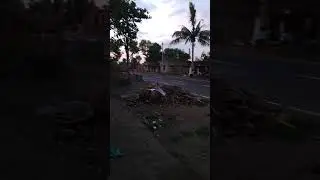 BOARIJORE