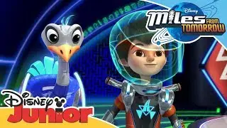 Miles From Tomorrow - The Stellosphere Spaceship
