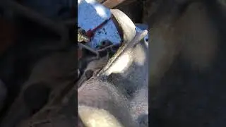 Parte 1 Como desarmar Trasmision de caribe de 4 velocidades