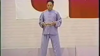 Feng Zhiqiang Ruler 2