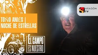 El día no acaba cuando llega la noche | NOCHE DE ESTRELLAS