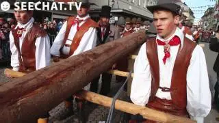 Narrenbaumstellen mit Winfried Kretschmann: Stockach am Bodensee, 27.02.2014