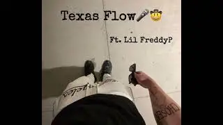 Texas Flow ft. Lil Freddyp (Official Audio)