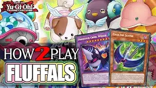 Yugioh | How to Play Fluffals