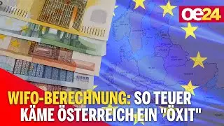 WIFO-Berechnung: So teuer k&auml;me &Ouml;sterreich ein 
