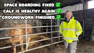SHED & GROUND WORKS DONE: A GOOD END TO THE YEAR 