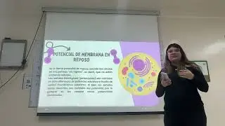 Fisiolog&iacute;a Celular: Procesos Celulares (Equipo 1)