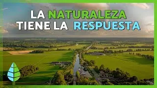 SOLUCIONES BASADAS en la NATURALEZA 🌳✅ explicadas por un ambientólogo