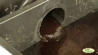 spot pubblicitario azienda florapis miele biologico siciliano
