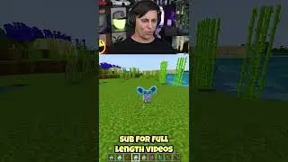 Cuteness OVERLOAD (Minecraft) #shorts #minecraft