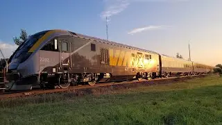 (SCV-42 Siemens Fleet!!) CN L533 - Union Pacific 5275 With 2202 & 2301 In Lynden Ontario