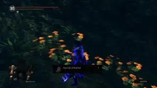 Dark Souls Remastered: Parry, backstab chain.