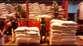 Sugar Icumsa 45, 600 - 1200