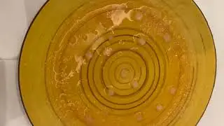 Salt Crystallization