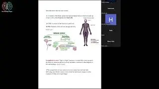 International Synapse Contest | Neuroscience 101 session 1