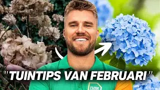 TUINTIPS voor FEBRUARI | Hortensia snoeien, Haag plaatsen & Meer!