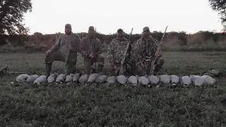 October Goose Hunt 2017 -Dry field smackdown!
