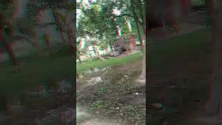 Lost in the Glitch: A Walk Through the Woods