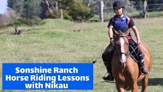 Horse Riding Lessons at Sonshine Ranch - Horseback Riding Nikau