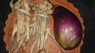 বেগুন দিয়ে লটে শুটকি মাছের ভর্তা বানিয়ে ফেলুন জাস্ট ফাটাফাটি //Sutki Macher Vorta#lote sutki vorta