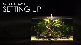 [Medusa] Day 1: Setting up Low Tech Nano Aquarium (No CO2, No Fert)