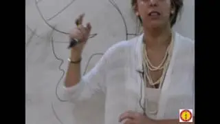 V&iacute;deo-Aula 5 - As Principais Altera&ccedil;&otilde;es Morfol&oacute;gicas na Orelha nas doen&ccedil;as ortop&eacute;dicas.