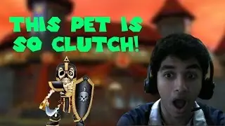 Wizard101: The Story of The Pet Talent That Saved My Life.