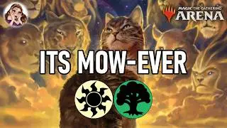 WE CANT LOSE WITH THIS - 9 Lives is OP