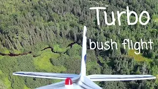 Turbo timber bush flight