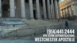 New York City Birth Certificate Types for Exemplification, Authentication & Apostille.