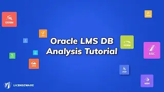 How to analyse Oracle LMS Outputs for DB
