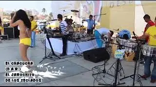 CHACUCHA- ALEXIS EL JAROCHITO