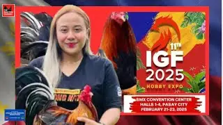 IGF25 | ROXIE JIMENEZ GAMEFARM /  Roxie Jimenez ng Tarlac | Golden Boy Sweaters.