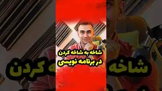 شاخه به شاخه کردن در برنامه نویسی
