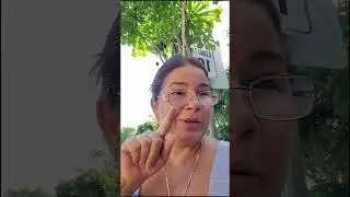 Democracy and respect for all perspectives