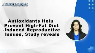 Antioxidants Help Prevent High-Fat Diet-Induced Reproductive Issues, Study reveals