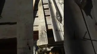 how to remove nails from pallet wood &pi;&omega;&sigmaf;  &beta;&gamma;ά&zeta;&omicron;&upsilon;&mu;&epsilon; &tau;&iota;&sigmaf; &pi;&rho;ό&kappa;&epsilon;&sigmaf; &alpha;&pi;ό &tau;&iota;&sigmaf; &pi;&alpha;&lambda;έ&tau;&epsilon;&sigmaf;