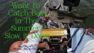 Summer time means Big Worms!