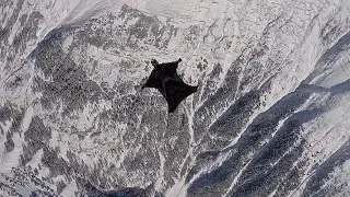 Engadin Wingsuit