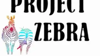 Project Zebra - Funk Jam, Live