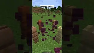Racism in Minecraft! #Shorts