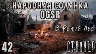 Наташа Валентайн и Много Тайников - NS OGSR #42