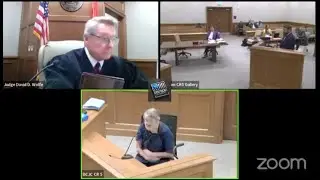 Судья Вулф ОТСТРАНЯЕТ ответчика по делу о жестоком обращении с младенцем!