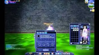 Silkroad - Demon Shaitan #3 & Alchemy +10 ?