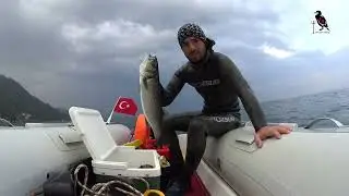 KARADENİZ ZIPKINLA BALIK AVI-KARAGÖZ-EŞKİNA-LEVREK-MİNAKOP#87