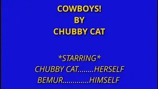 Cowboys! - Chubby Cat