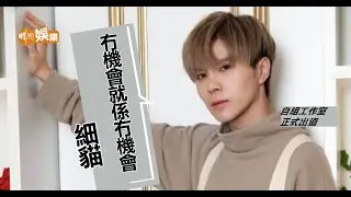 細貓練習生的辛酸